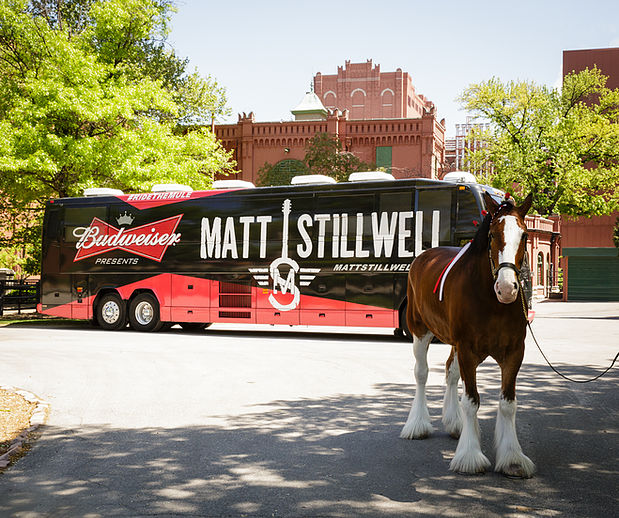 Budweiser marketing influencer partnership