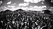 music festival marketing activation